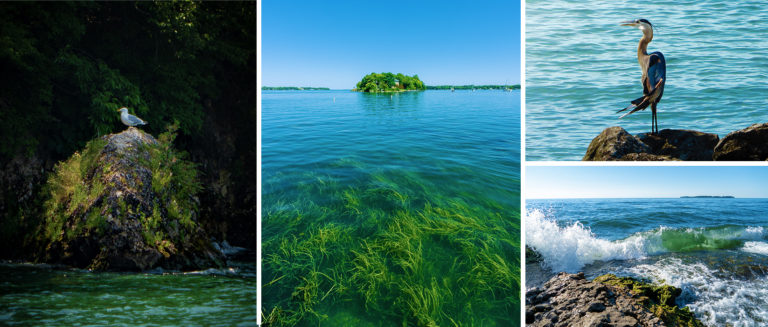 an island in the middle of a body of water