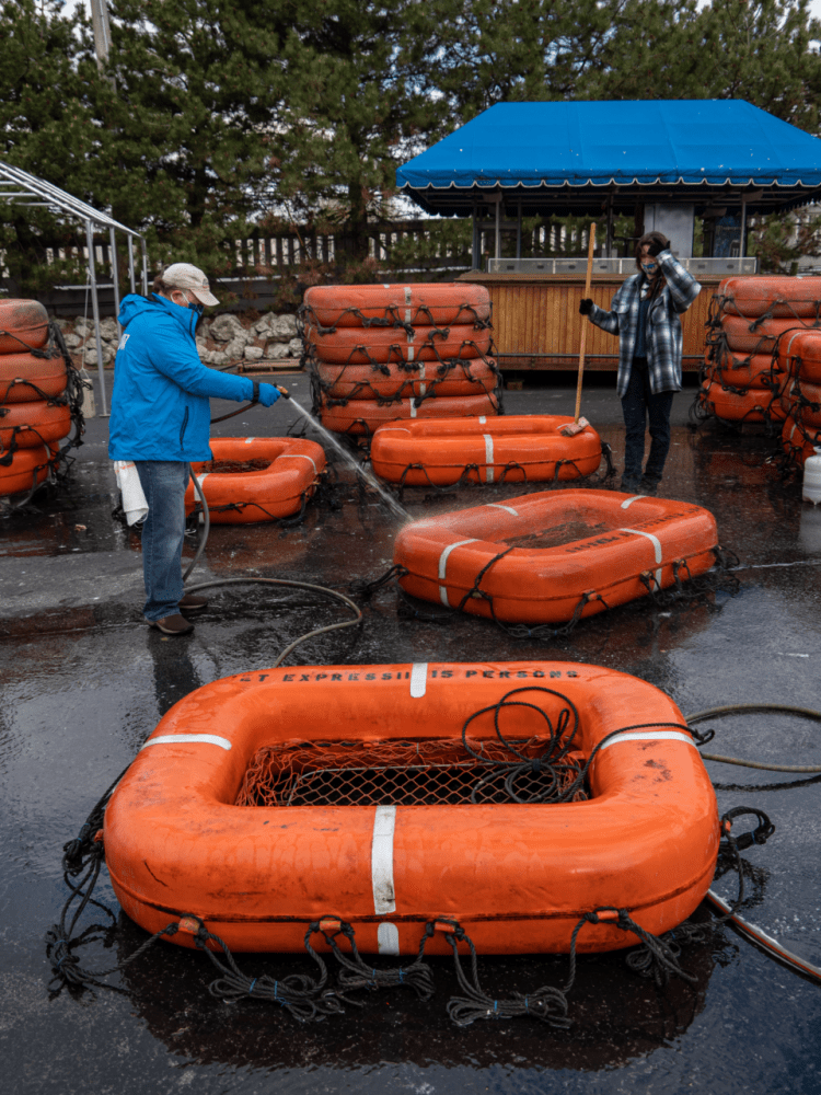 cleaning safety equipment