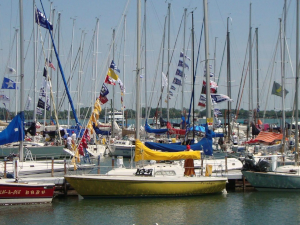 sailboats in harbor