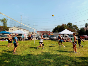a group of people on a field playing volleyball