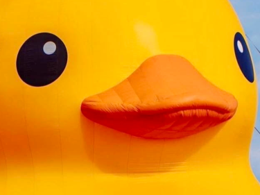extreme close-up of the face of the eyes and bill of a ship-sized rubber duck