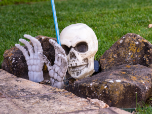 Plastic skull and hands emerging from rocks on grass.